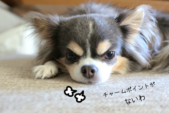 23-12-23-22-51-36-416_deco