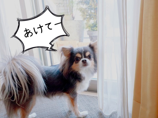 21-12-12-17-42-57-068_deco