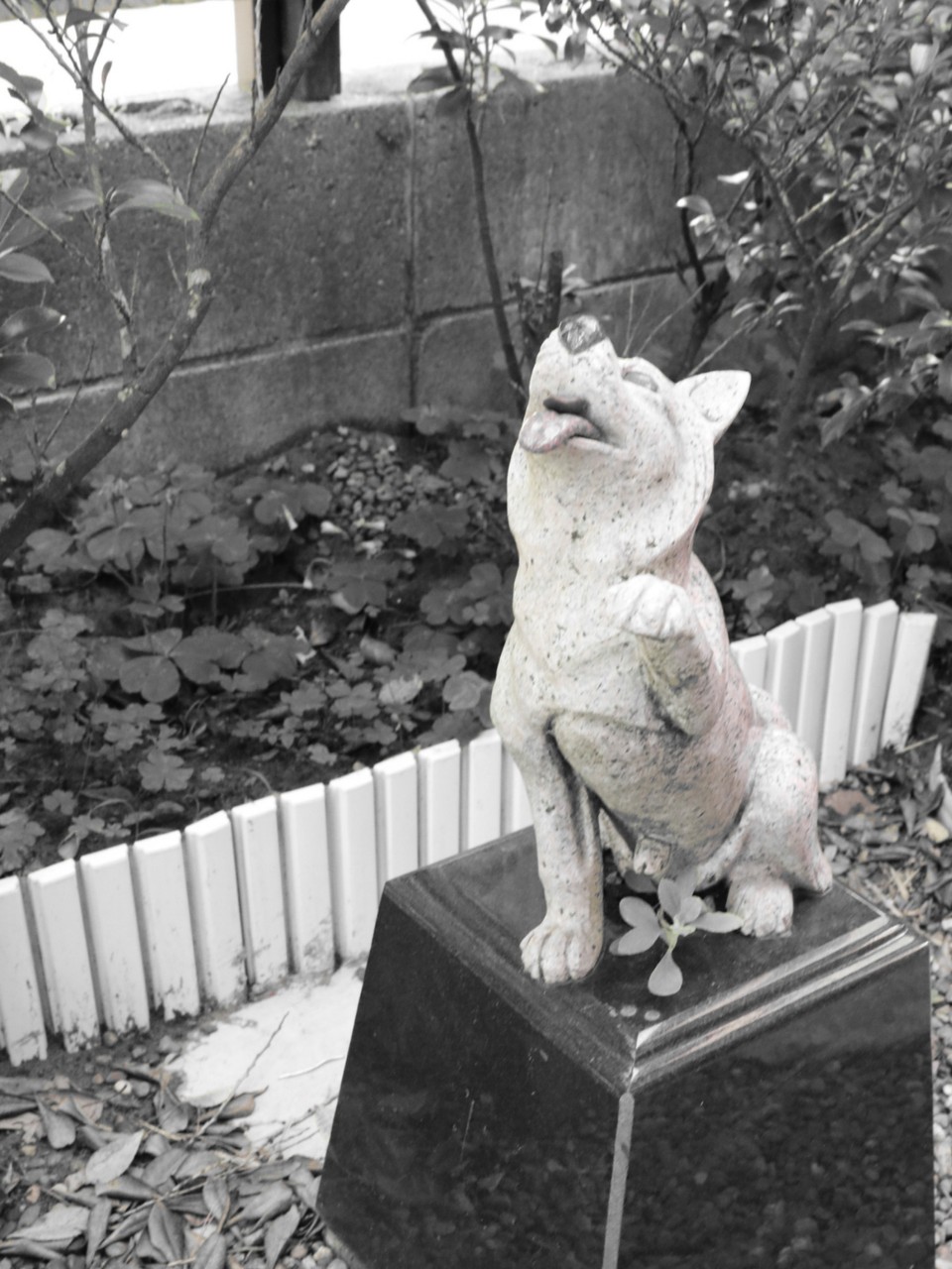 九十九里の旅】愛育神社 : たかシェフのおうちごはん。と、白い犬。と