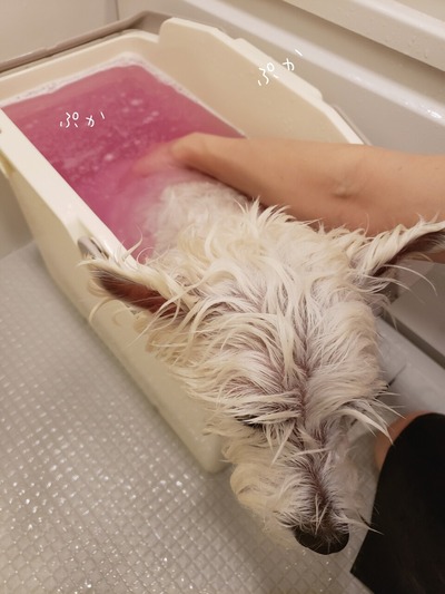 21-05-07-20-19-14-761_deco