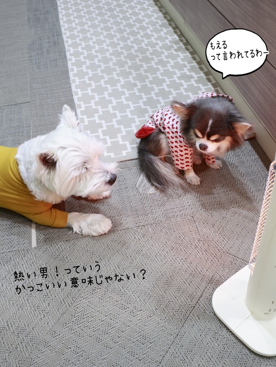 26-01-08-07-40-23-619_deco