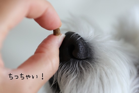 22-06-12-14-27-33-398_deco