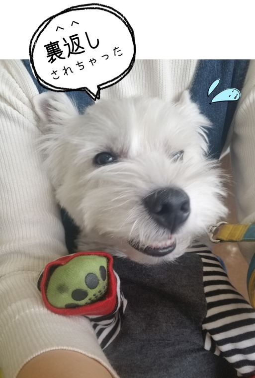 19-01-31-12-36-37-075_deco