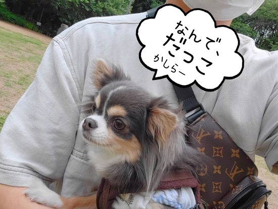 22-05-13-09-45-24-214_deco