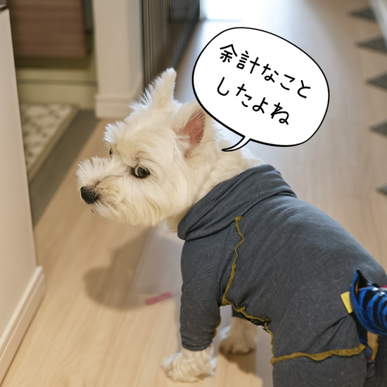 【犬の滑らない床材】ボロンを剥がしてみたら、まさかの展開に…