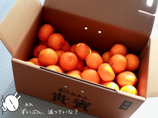 25-12-23-10-15-15-650_deco