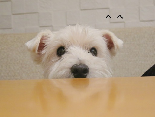 20-02-05-12-50-49-326_deco