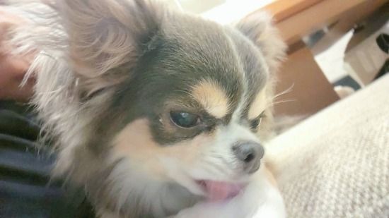 24-08-06-19-19-13-859_deco