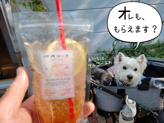 23-04-12-17-29-32-116_deco