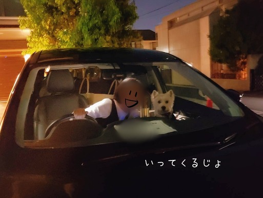 19-05-17-08-38-11-848_deco