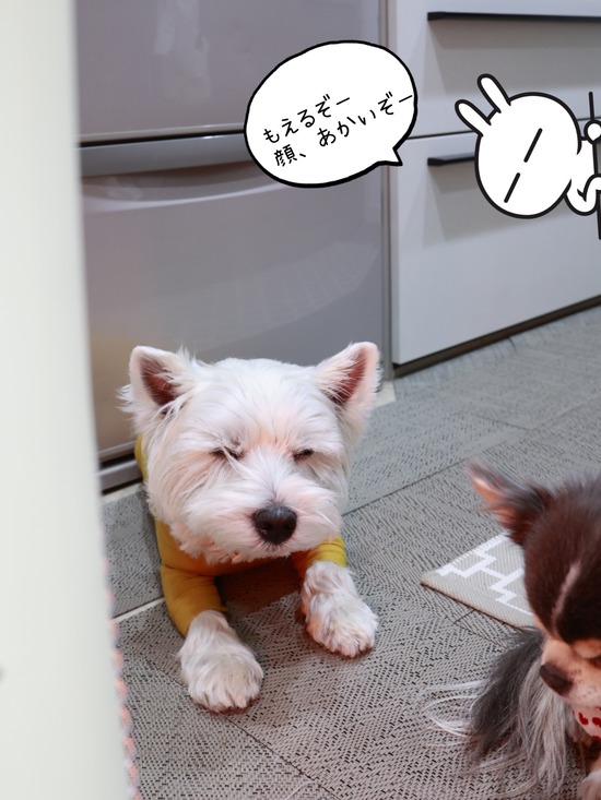 26-01-08-07-20-58-829_deco