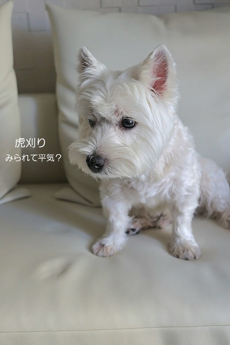 右足、その後の経過