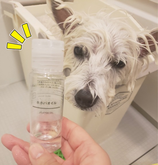 21-12-08-16-06-52-859_deco