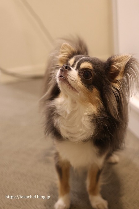 22-10-03-19-31-09-586_deco