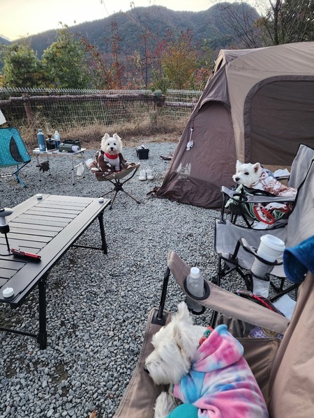 ほったらかしキャンプ場