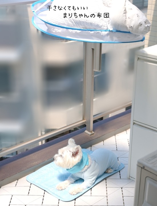 22-07-01-07-50-14-033_deco