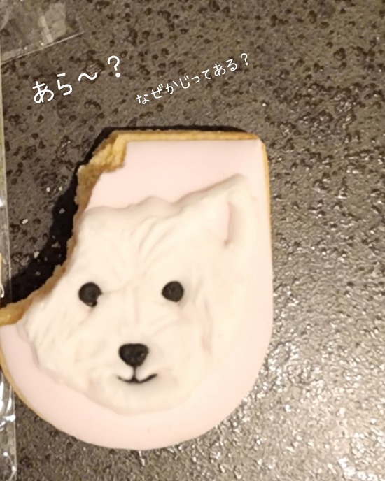 贈り物メモ　アイシングクッキー