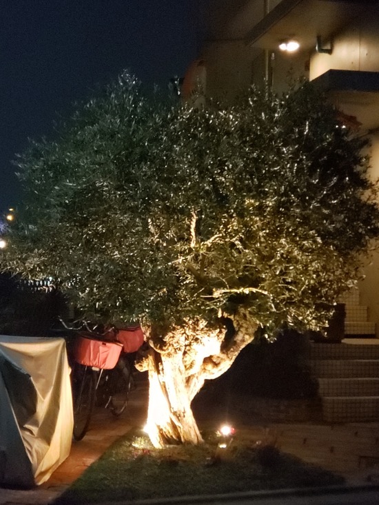 22-03-14-08-52-50-595_deco