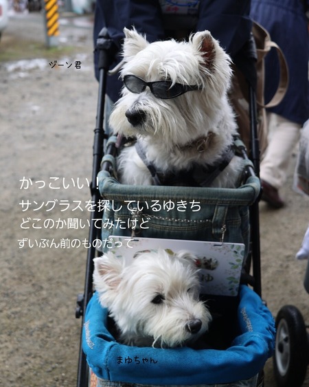 25-10-30-12-13-17-936_deco