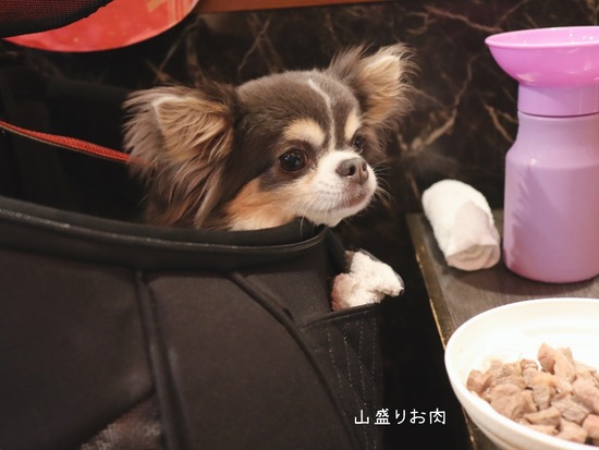 24-07-25-17-41-32-834_deco