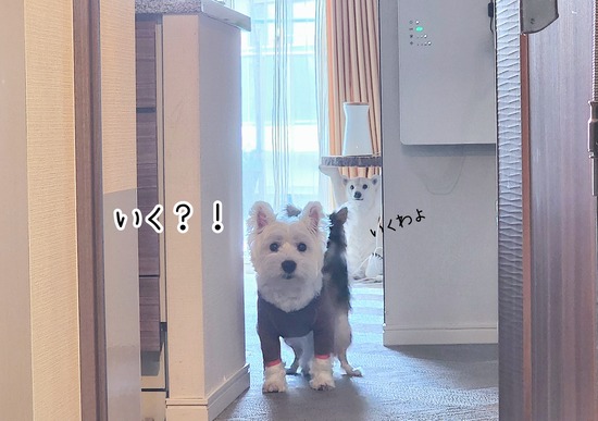 24-09-23-20-04-37-009_deco