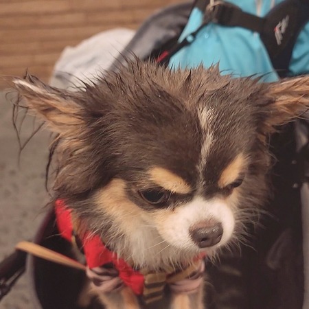 22-10-13-18-58-01-650_deco