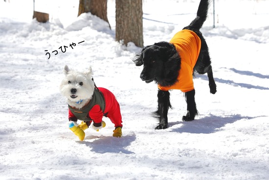 22-03-01-12-50-21-692_deco