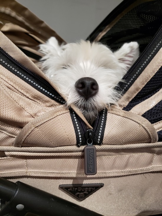 【旅】夜ご飯なう。