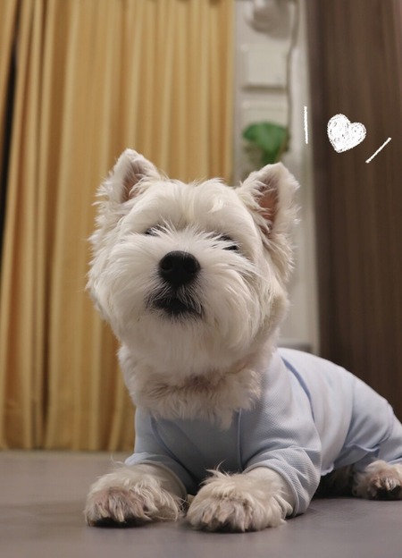 お洋服新調するか…