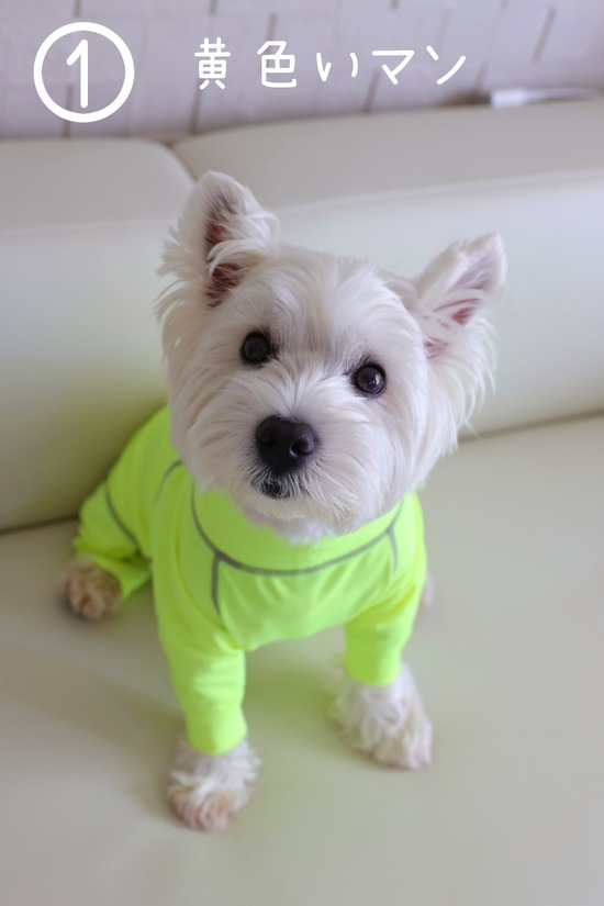 22-06-30-20-52-25-818_deco