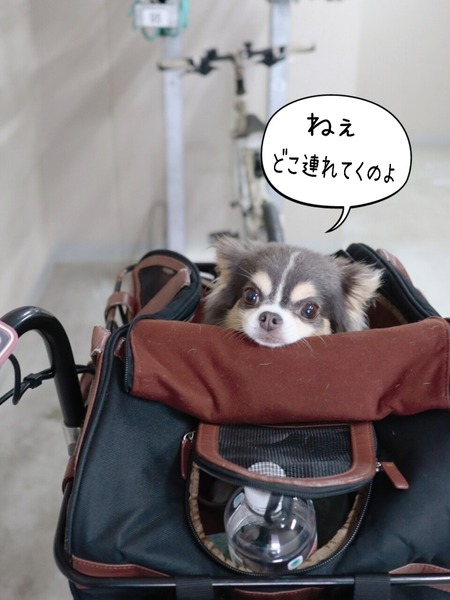 24-07-18-14-04-37-724_deco