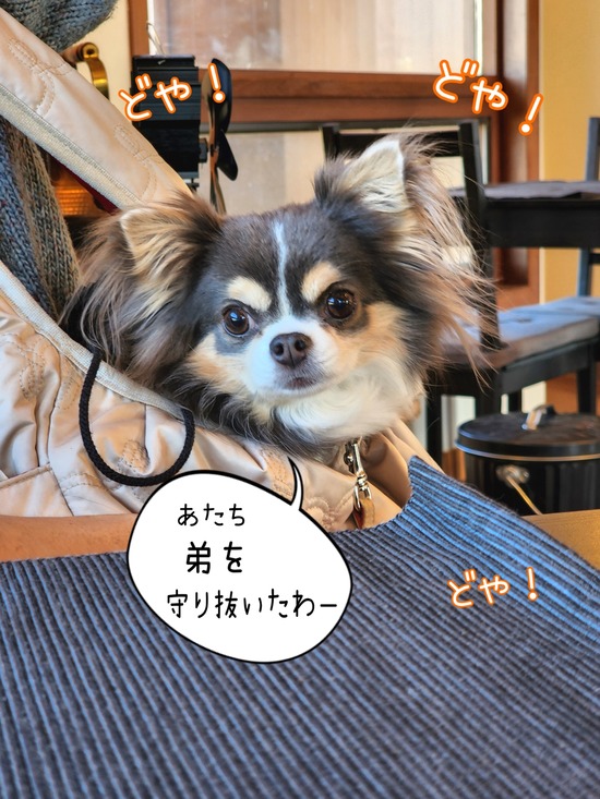 22-12-12-12-22-45-066_deco