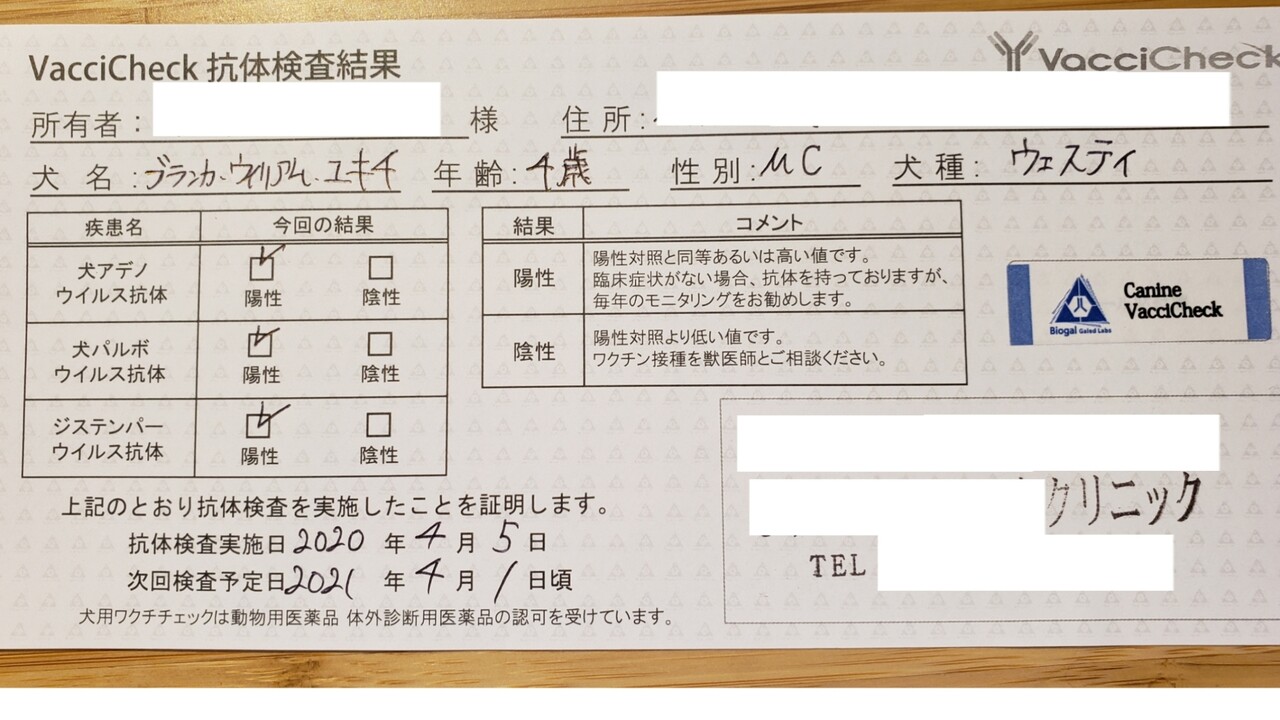 犬 ワクチン抗体価 たかシェフのおうちごはん と 白い犬 と チワワ Powered By ライブドアブログ 犬 ワクチン抗体価 たかシェフのおうちごはん と 白い犬 と チワワ Powered By ライブドアブログ