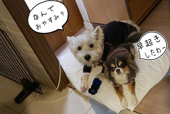 21-01-29-08-36-33-430_deco