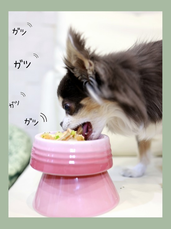 26-01-14-07-12-07-638_deco