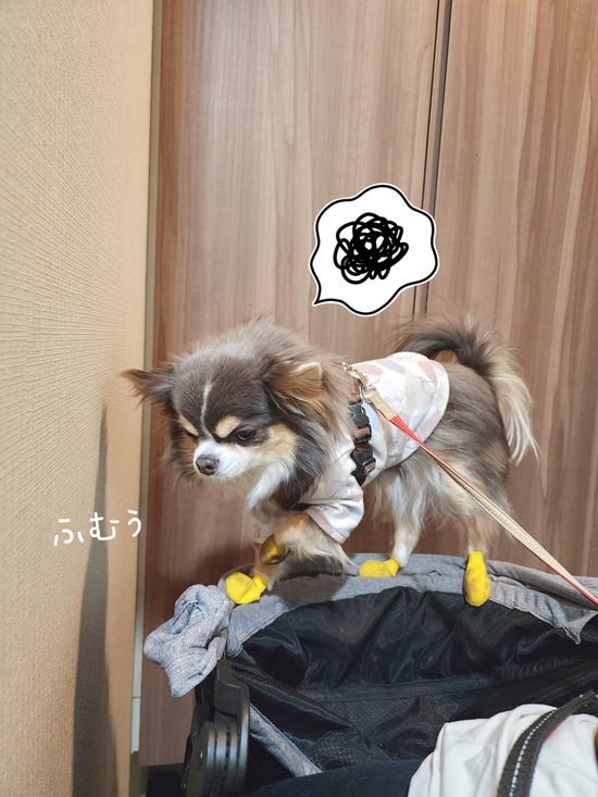 サーカスまりちゃん。