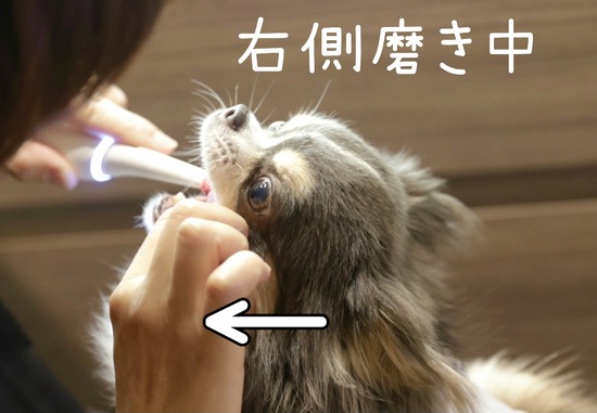 24-08-20-10-40-18-356_deco