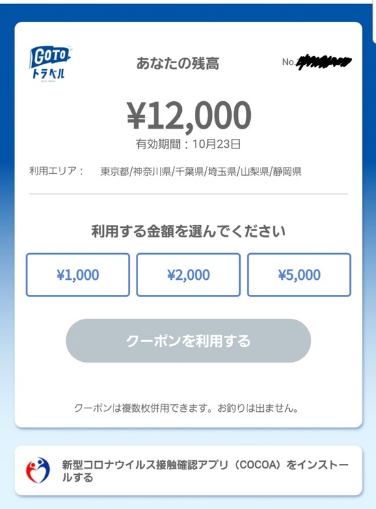 【日記】苦戦！地域共通クーポン券を使う。～紙クーポンがおすすめ。の巻き～