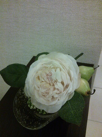 たかシェフのおうちごはん。-酒井形成外科