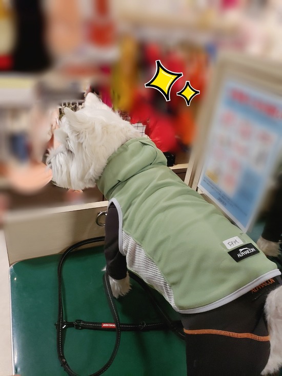 21-03-10-10-32-15-877_deco