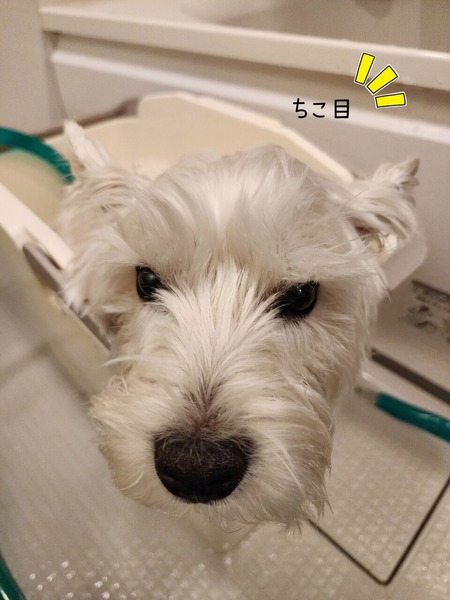 23-02-10-00-50-33-852_deco