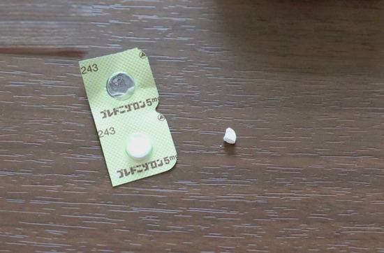 【病院のはしご①】ステロイドの減量が終わって、ケンケン、やっと終診　