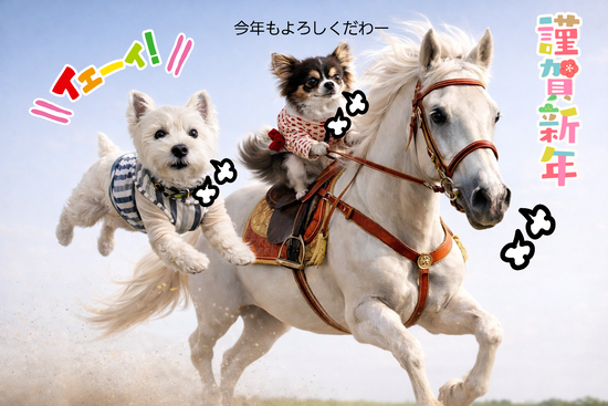 今年もよろしくお願いします