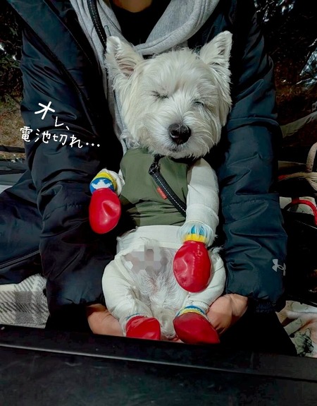 25-11-30-21-55-01-357_deco