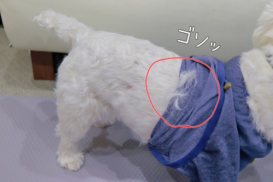 25-12-02-07-41-13-345_deco