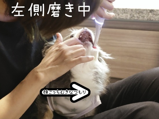 Screenshot_20240820_104308_LINE Camera