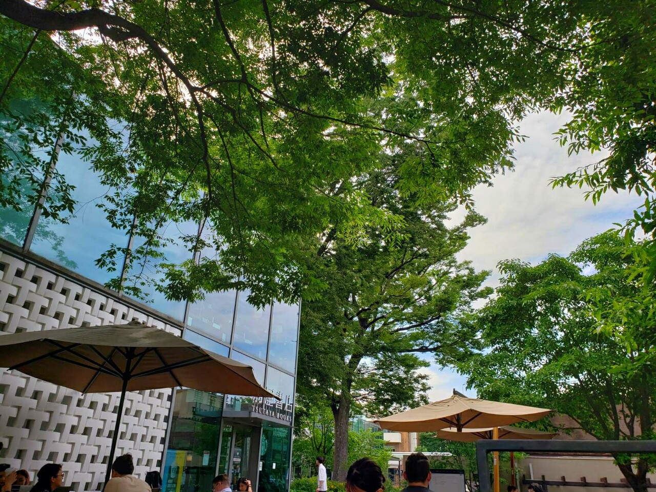 蚊対策 たかシェフのおうちごはん と 白い犬 と チワワ Powered By ライブドアブログ