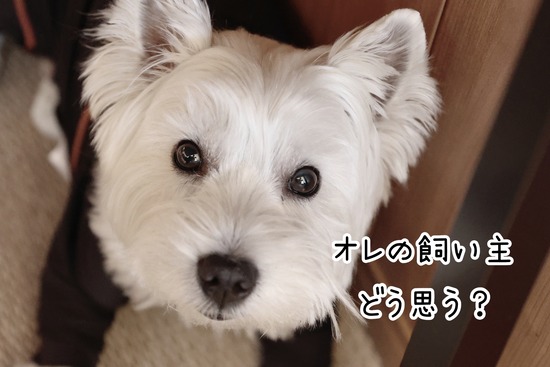 【ゆきちの日記】ねぇ、雑なんだけど～