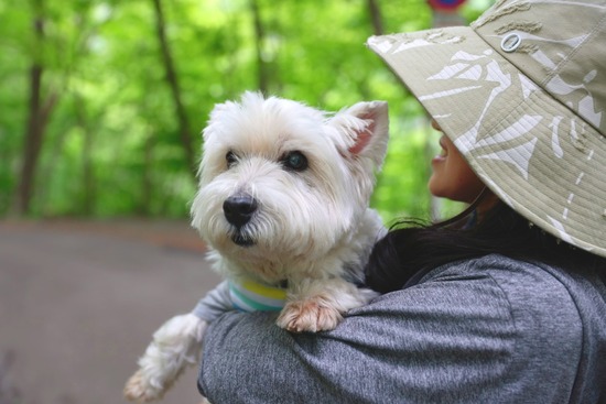 24-06-06-20-26-34-051_deco