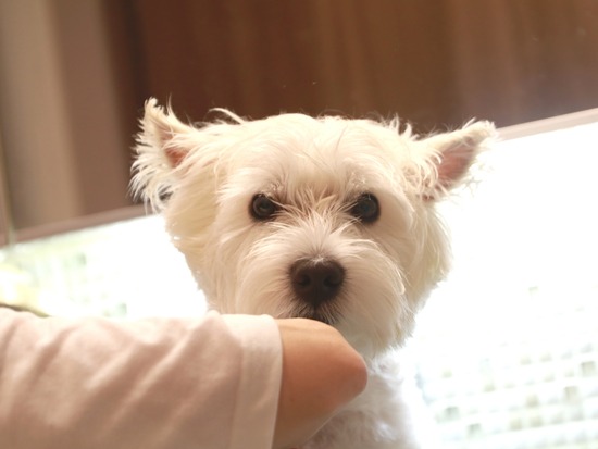 21-08-27-06-32-05-962_deco